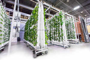 Torre Aeropónica Vertical para Cultivo Hidropónico en Interiores, para Fresas, Flores, Lechugas y Piñas, Sistema de Cultivo Hidropónico DIY para Balcón - Product Image 3