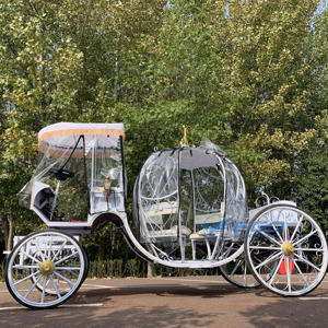 Hot--sell <b>White</b> Electric Wedding Pumpkin Carriage Wholesale Price Wedding Carriage Pumpkin Horse Carriage for Sale - Product Image 4