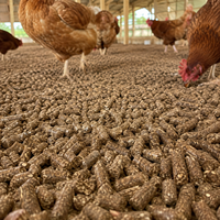 Prix d'usine, granulés de biomasse bois hautement absorbants utilisés pour l'élevage de volailles