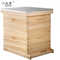 Kit de Colmena Langstroth de 10 Marcos de Abeto Chino a Precio de Fábrica OEM