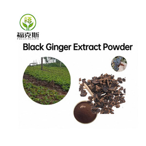 Toptan 5% dimethoksiflavone tozu Premium siyah zencefil özü bitki özü çeşitli uygulamalar için - Product Image 3