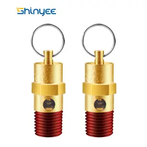 safety valve popular product safety automatic high pressure valve relief valve Compressor pex fittings