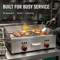 Grille de cuisson au gaz portable en acier inoxydable sur mesure pour comptoir, idéale pour la cuisine, les restaurants et l'équipement de restauration