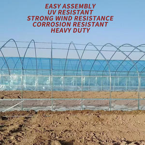 هيكل بيت زجاجي تجاري متين بمقاسات مخصصة، نفق للفراولة، بيوت زجاجية بلاستيكية مع معدات كاملة - Product Image 4