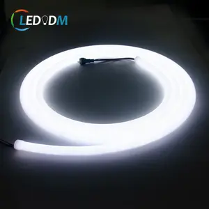 12V 24V Grad LED Neonlicht benutzer definierte Flex wasserdichte Außen dekorationen LED RGB Streifen Rohr flexible Silikon adressierbar