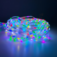 Guirlandes lumineuses LED RGB à pixels WS2811 12V, étanches IP67, pour décorations de Noël extérieures
