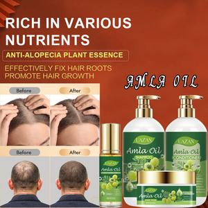 Set de Champú y Acondicionador al por Mayor con Manteca de Karité Orgánica y Aceite de Amla para el Cuidado del Cabello, Hidratación Profunda y Reparación del Cabello Dañado - Product Image 3