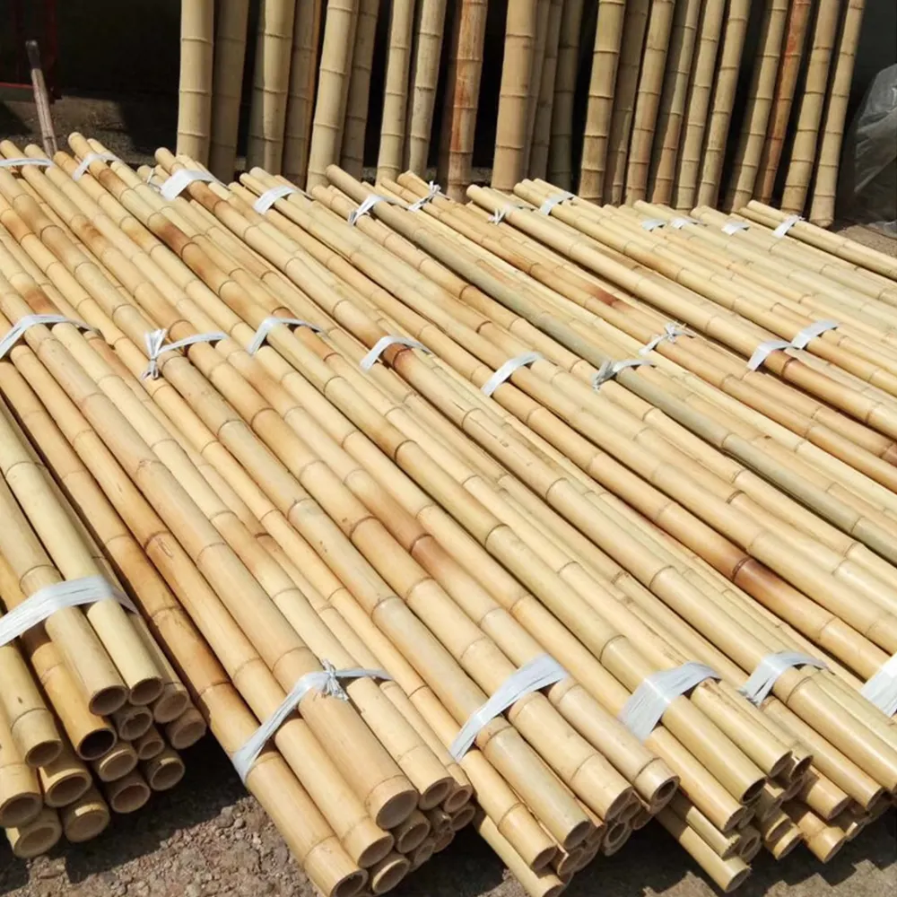 Bamboo Supplier Wholesale Outdoor Yellow Nature Raw And Dry Bamboo Pole 2M 3M 4M 5M 6M 7M 8M