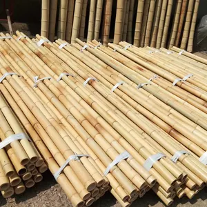 Doğa ham bambu direkleri düz kutup bambu gelen kaplama orman Anji memleketi büyük bambu direkleri 300cm