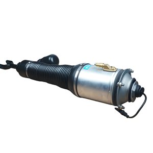Amortiguadores de Suspensión Neumática Delanteros Derechos 3D0616040 3D5616040 3D7616040 3W0616040 Compatibles con Volkswagen Phaeton - Product Image 3