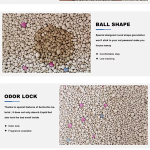 Arena para Gatos de Bentonita en Forma de Bola de 1-3 mm, Ecológica, con Aroma a Manzana, Baja en Polvo y Control de Olores, 8 kg, Venta al por Mayor de Fabricantes OEM - Product Image 3