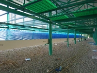Bâtiment d'élevage de moutons et de chèvres préfabriqué moderne à grande portée en acier, construction rapide pour entrepôt et atelier