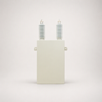 Condensateurs de puissance monophasés immergés dans l'huile à haute tension BAM11 6,3 kV avec filtre shunt, isolation de classe H, 30 kvar-200 kvar, 50/60 Hz