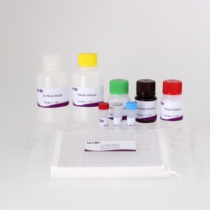 Wholesale Brucella bp26 Protein ELISA Antibody Detection <strong>Kit</strong> for Veterinary Diagnosis, High Sensitivity &amp; Specificity - Product Image 6
