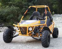 2020 EGS bonne qualité pas cher 150cc/200cc 2 sièges dune buggy/buggy électrique passer certificat CE chaud en vente