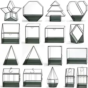 Dakang Dome Treo Nhà Máy Hình Học Loài Bò Sát Làm Hồ cạn Thủy Tinh Cho Các Nhà Máy Kit Container Thu Nhỏ Bán Buôn Với Nắp - Product Image 4