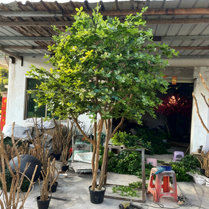 逼真的人造黑橄榄盆栽植物 仿真橄榄树 塑料抗紫外线环保家居办公室酒店装饰 - Product Image 5