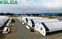 Serre-tunnel abordable pour la production de champignons-Expert Manufacturer