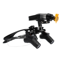 3.0x 4.0X 5.0x 6.0x Ergo Loupes diş Loupes Ergo dürbün büyüteç ile 5w cerrahi far Oral LED lamba