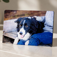Feuille acrylique pour sublimation 800x600 3mm d'épaisseur, PMMA blanc brillant, panneau photo vierge pour impression par transfert thermique