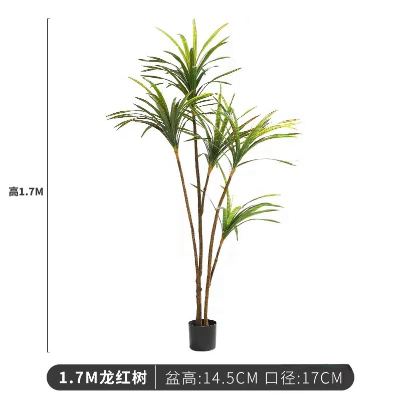 160cm