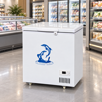 Congélateur coffre 100L, congélateur profond blanc, porte simple, thermostat réglable, OEM ODM, vente en gros pour les supermarchés