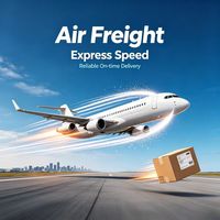 Agent de fret aérien et transitaire DDP pour les marques transfrontalières, livraison porte-à-porte, itinéraire Amérique du Nord et Europe