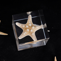 Ornement de maison Lucite Urchin Bones Block Acrylique Ocean Specimen Embedded Cube