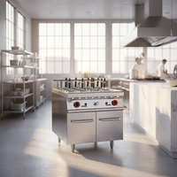 Cuisinière à pâtes au gaz Wiberda, armoire verticale, acier inoxydable, usage intensif, grande capacité, 2200W, garantie 1 an, professionnelle