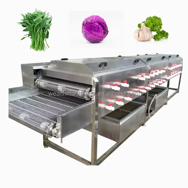 WEQX-500 Full Automatic Stainless Steel Air Bubble Washing Machine Ozone Fruit and Vegetable Spinach rape cabbage Washer machine