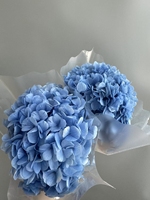 Vente en gros de haute qualité Ins Style préservé Hortensia à grandes feuilles pour fournitures de fleuriste