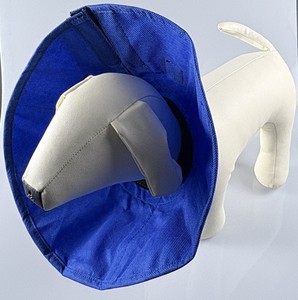 Nouveau collier léger pour animaux de compagnie, collier de récupération - Product Image 1