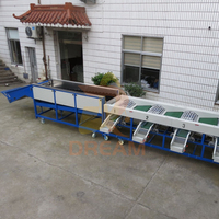 Automatische Knoflook Kruidnagel Aardappel Sortering Separator Machine Kersengroente Fruit Olijf Knoflook Grootte Sorteermachine