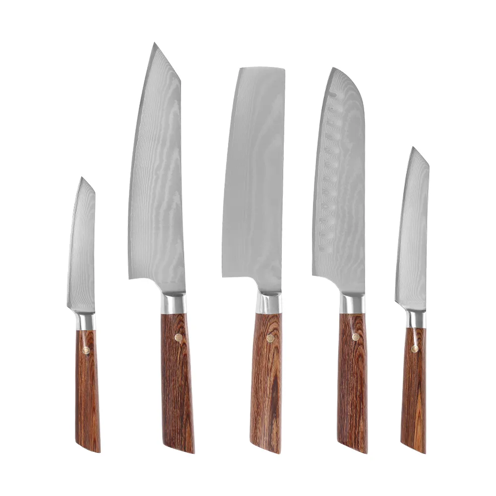 Conjunto de facas de chef profissional 10CR15 aço Damasco 5 peças de alta qualidade faca de cozinha com cabo de madeira