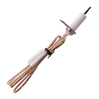 Allumeur 12 volts, 20 watts, câble haute température de 370 mm