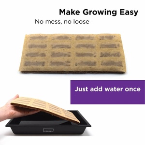 Stile Country Ultimate <span class=keywords><strong>Bamboo</strong></span> Microgreen Starter Kit di utilizzo del pavimento Design per la casa centro commerciale appeso sistema di <span class=keywords><strong>semina</strong></span> - Product Image 2