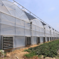 Structures de serres agricoles multi-travées ZHUOTAI avec revêtement en film CN
