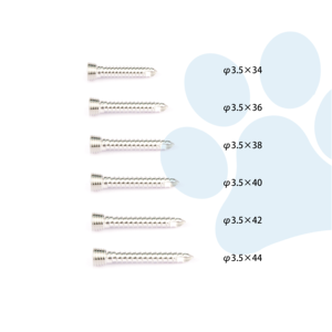 Veterinaire orthopedische implantaten, roestvrijstalen vergrendelende botschroeven voor chirurgische fixatie-instrumenten - Product Image 1