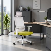 Chaise de bureau ergonomique moderne pivotante en maille avec support lombaire réglable, ensemble de chaises de luxe en plastique, vente en gros