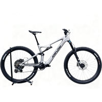 Vélo de montagne électrique Amflow PL Carbon : batterie 800Wh, structure en fibre de carbone, conduite tout-terrain et longue portée