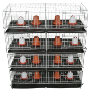 Jaula para Pollos Tipo H con Diseño Automatizado para Ahorrar Espacio y Mejorar la Productividad Agrícola - Product Image 4