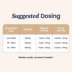 Suplemento Probiótico Masticable para Perros, Marca Privada OEM/ODM, para la Salud Digestiva, Inmunológica e Intestinal - Product Image 6
