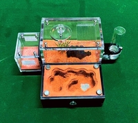 Moderne Nid de Fourmis en Acrylique Transparent Écologique Formicarium Colonie d'Élevage pour la Vulgarisation Scientifique Scolaire