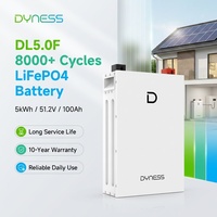 Batterie solaire murale Dyness DL5.0F 8000 cycles 5 kWh 51,2 V 100 Ah LiFePO4 pour stockage d'énergie domestique, compatible avec les onduleurs Deye/Solis