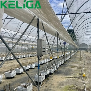 Cereza/UVA/arándano Plantación Cobertizo Película plástica Invernadero Plantación Túnel alto Refugio de lluvia Invernadero - Product Image 4