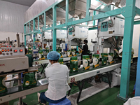 Máquina Empacadora de Bolsas de Arroz y Alimentos Semiautomática de Alta Velocidad Accionada por Motor DCS-50FB-C |   600-1020 Bolsas/Hora, Pesaje y Llenado de 5-25 kg