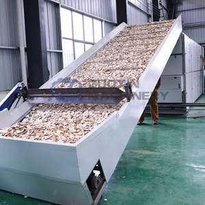 Stable continuous <b>drying</b> machine removes excess moisture from fresh onion cuts - Product Image 5