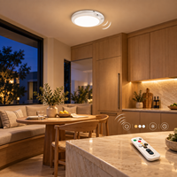 Plafonnier LED rechargeable à détecteur de mouvement, sans fil, alimenté par batterie, magnétique, à intensité variable, avec télécommande, pour placard, escalier, couloir