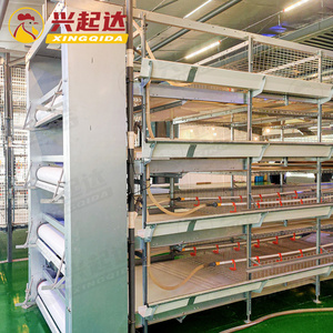 Nouveau système de cage à poulets de type H avec construction en acier Q235 et garantie d'un an pour des conditions d'élevage optimales - Product Image 4