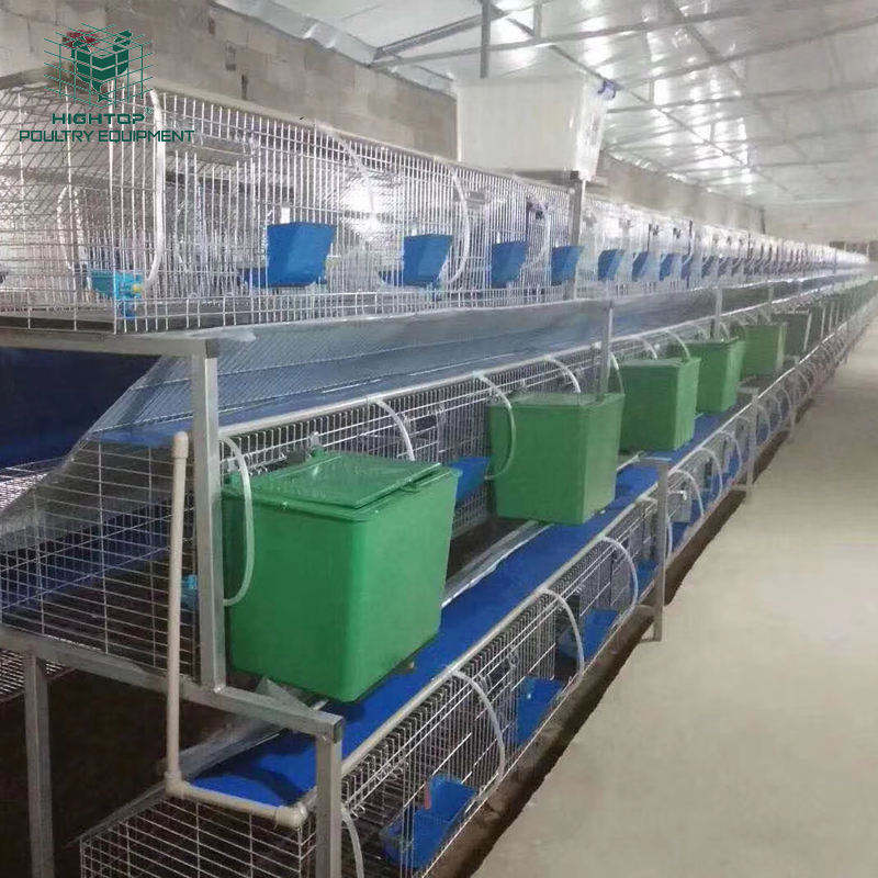 Nigeria Rabbit Cage 3-Tier Durable Galvanized Design
